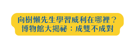 向樹懶先生學習威利在哪裡 博物館大揭祕 成雙不成對