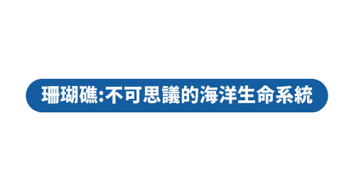 珊瑚礁 不可思議的海洋生命系統